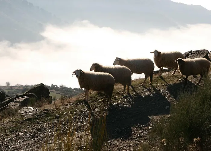 Sea House بيت للعطل فيانا دو كاستيلو