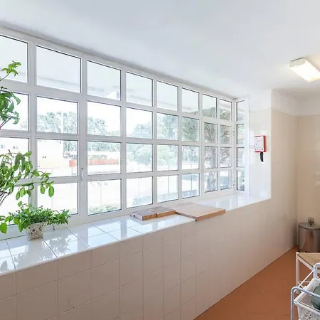 Sea House 비아나도카스텔로