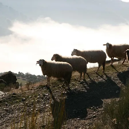 Sea House Dom wakacyjny Viana do Castelo